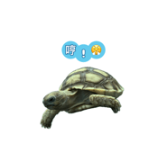 807538980