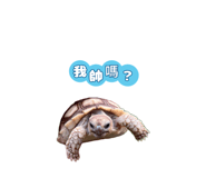 807538984