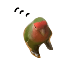 807541670