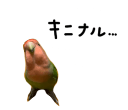 807541671