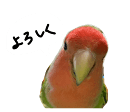 807541675