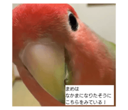 807541677