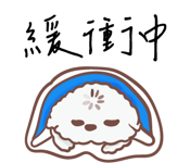 807546853