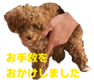 807551211