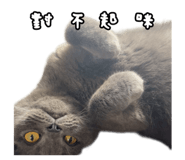 807552506