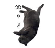 807552507