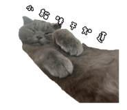 807552510