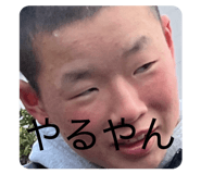 807558141