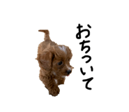 807561365