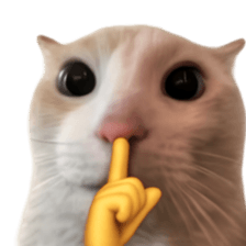 Silly Goofy Dip Catto V.2 รูปที่ 1