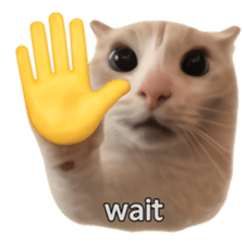 Silly Goofy Dip Catto V.2 รูปที่ 2