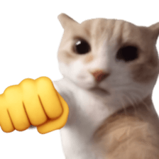 Silly Goofy Dip Catto V.2 รูปที่ 3