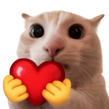 Silly Goofy Dip Catto V.2 รูปที่ 4