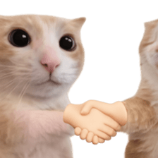 Silly Goofy Dip Catto V.2 รูปที่ 5