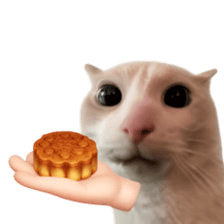 Silly Goofy Dip Catto V.2 รูปที่ 8