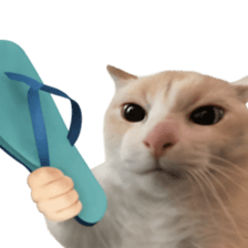 Silly Goofy Dip Catto V.2 รูปที่ 9