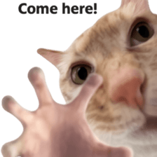 Silly Goofy Dip Catto V.2 รูปที่ 10