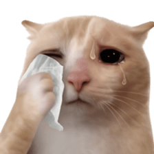 Silly Goofy Dip Catto V.2 รูปที่ 11