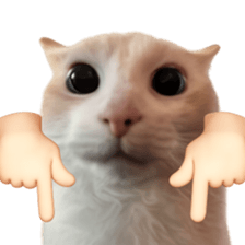 Silly Goofy Dip Catto V.2 รูปที่ 12