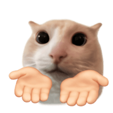 Silly Goofy Dip Catto V.2 รูปที่ 13
