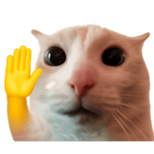 Silly Goofy Dip Catto V.2 รูปที่ 14