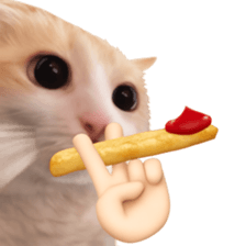 Silly Goofy Dip Catto V.2 รูปที่ 15