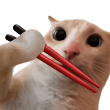 Silly Goofy Dip Catto V.2 รูปที่ 16