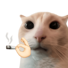 Silly Goofy Dip Catto V.2 รูปที่ 19