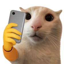Silly Goofy Dip Catto V.2 รูปที่ 20