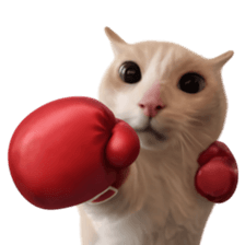 Silly Goofy Dip Catto V.2 รูปที่ 23
