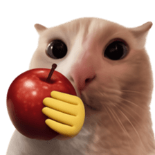 Silly Goofy Dip Catto V.2 รูปที่ 24