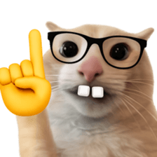 Silly Goofy Dip Catto V.2 รูปที่ 25