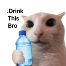 Silly Goofy Dip Catto V.2 รูปที่ 27