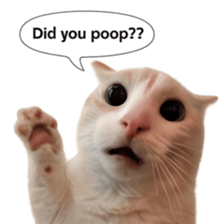 Silly Goofy Dip Catto V.2 รูปที่ 29