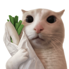 Silly Goofy Dip Catto V.2 รูปที่ 30