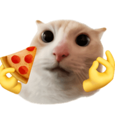 Silly Goofy Dip Catto V.2 รูปที่ 31
