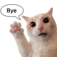 Silly Goofy Dip Catto V.2 รูปที่ 34