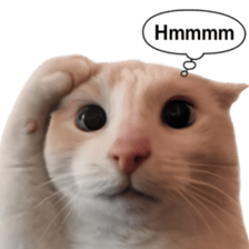 Silly Goofy Dip Catto V.2 รูปที่ 35