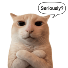 Silly Goofy Dip Catto V.2 รูปที่ 36