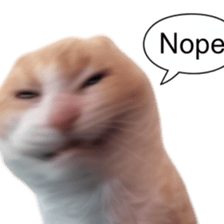 Silly Goofy Dip Catto V.2 รูปที่ 38