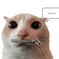 Silly Goofy Dip Catto V.2 รูปที่ 39