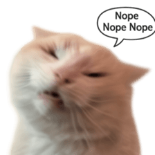 Silly Goofy Dip Catto V.2 รูปที่ 40