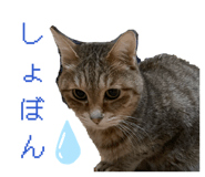 807655960