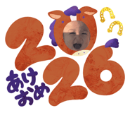 807656067
