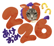 807666300