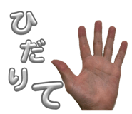 807685464