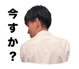 807686588