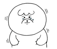 807690552
