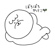 807690567