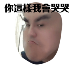 80775622